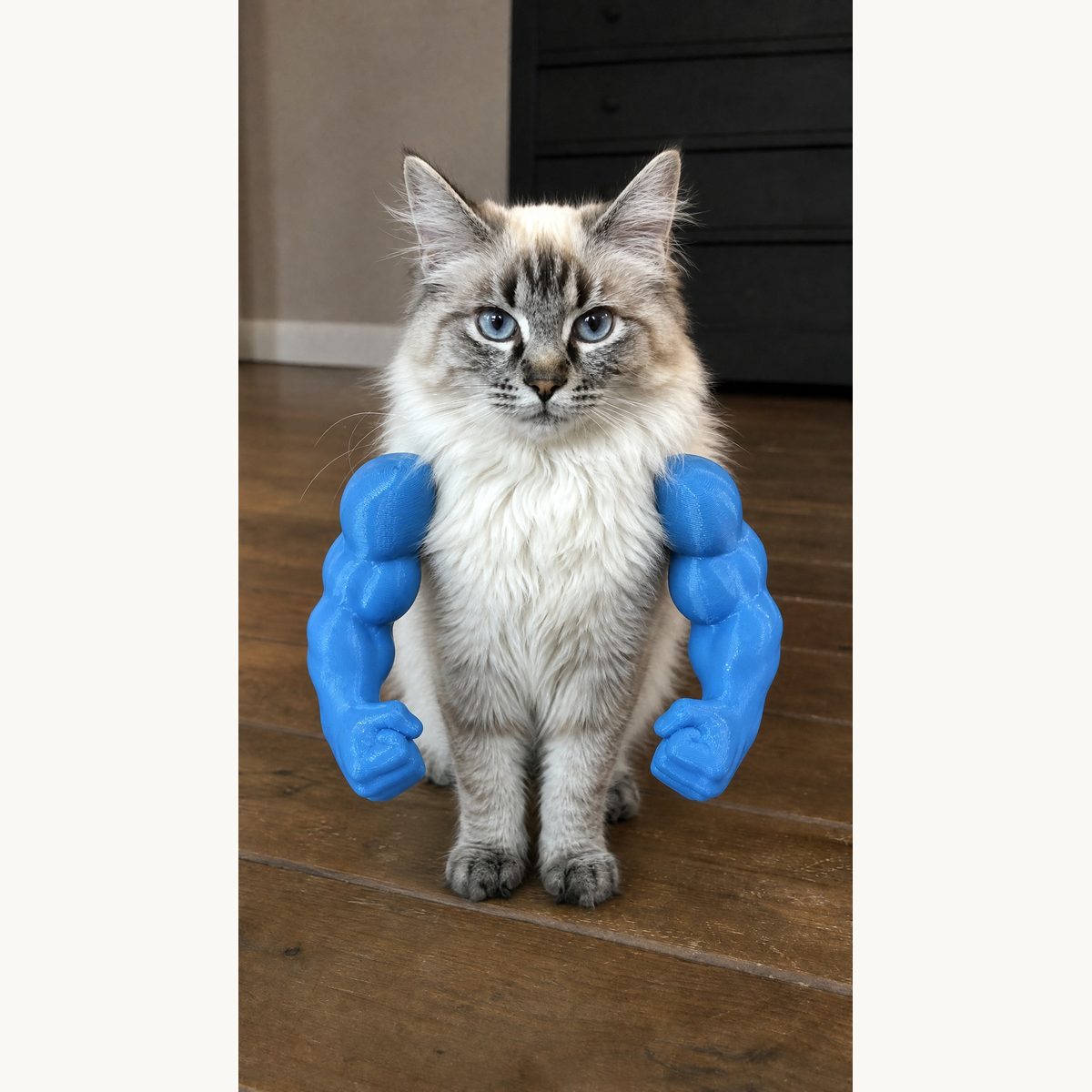 CatyBuilder - Hulk Arms for Cats